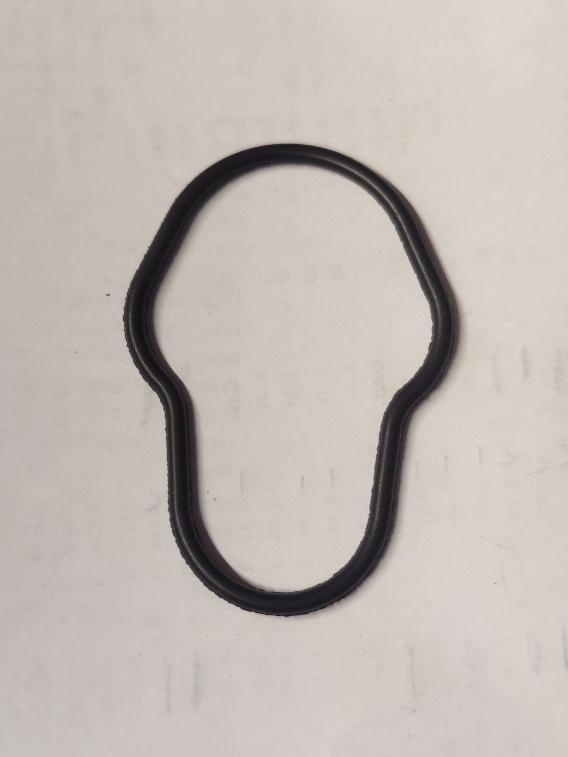 17302019050378660383543205700578 Case IH Oil Seal - O-Ring Type 2830156 - Image 1